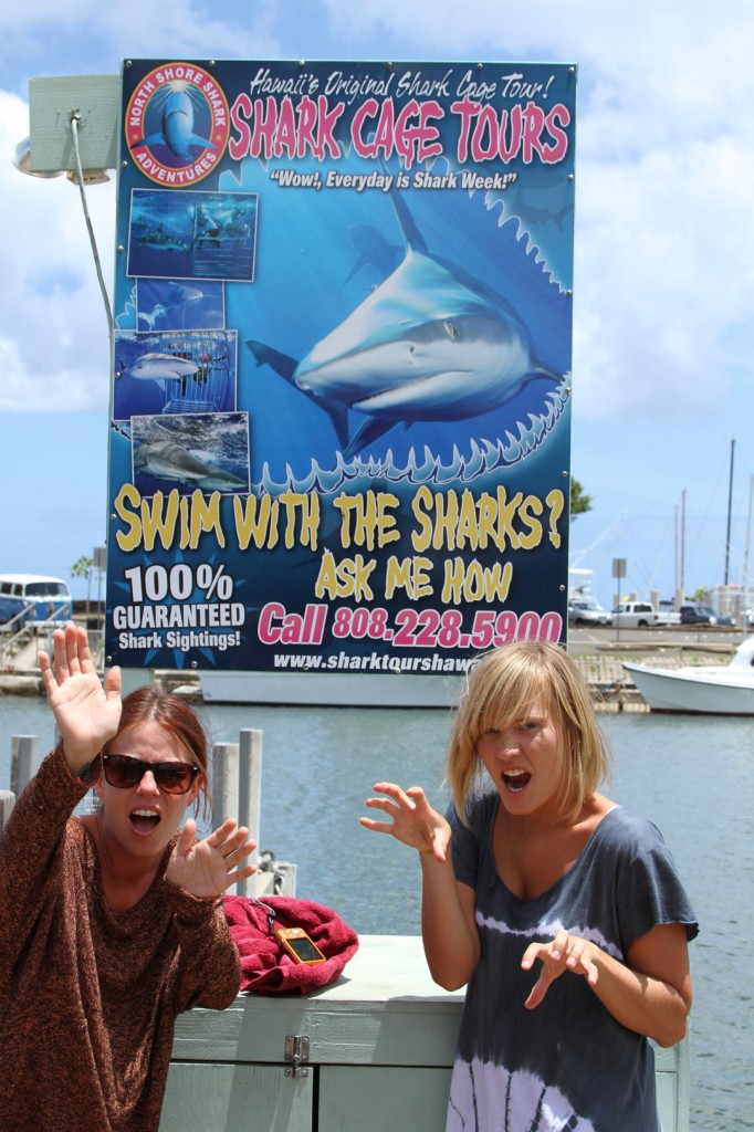 Shark diving off the North Shore