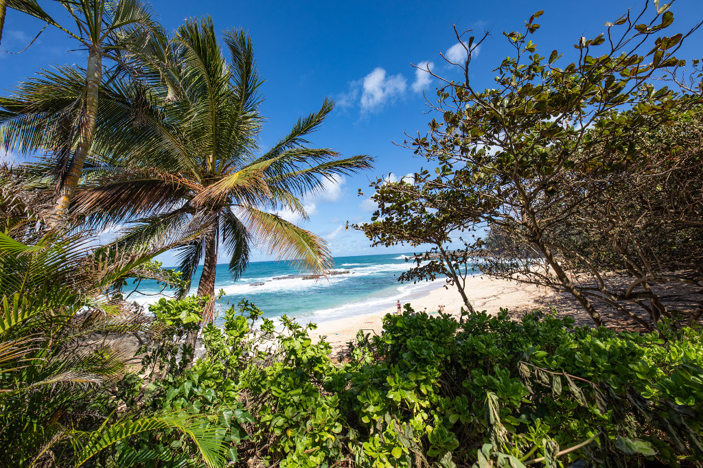 View from a large studio in the Beach Building
