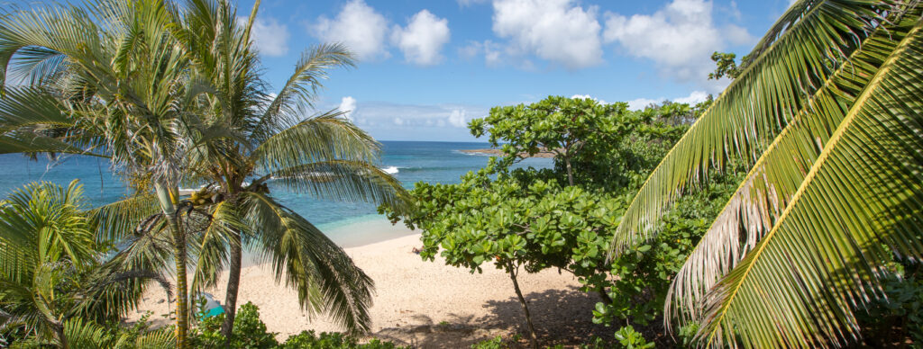 View from the Beach Building over the beach