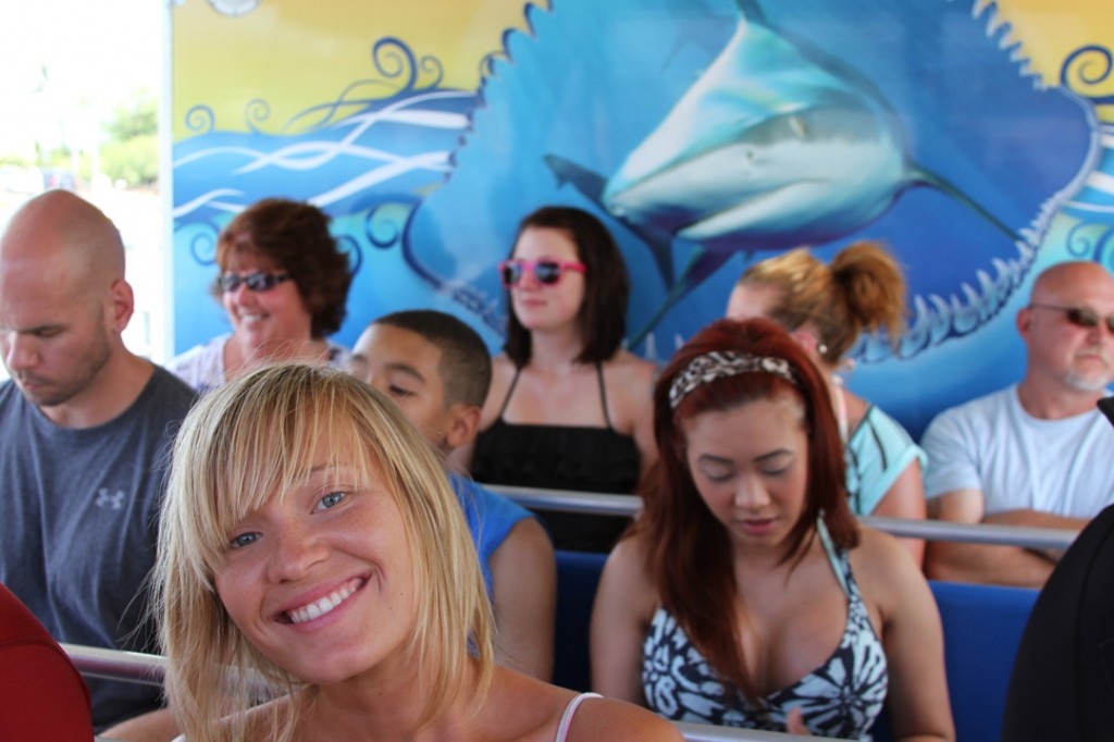 North Shore Shark Adventures - Backpackers Hawaii